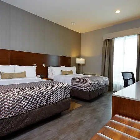 Best Western Plus East Side Saskatoon Room photo